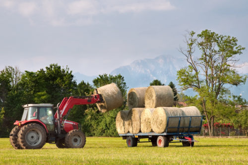 Agriculture tractor lifting hay bale on barrow